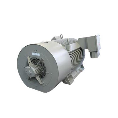 Siemens Low Voltage Squirrel-Cage Motor, 1PQ4454-2CM