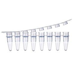 PCR 0.2ml 8-STRIP TUBE CAPS, BioPointe Scientific