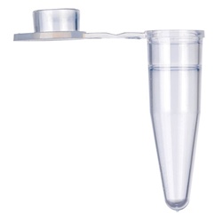 PCR SINGLE TUBE 0.2ml, FLAT CAP CLEAR, BioPointe Scientific