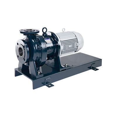 Iwaki Process Magnetic Drive Pump, AMP